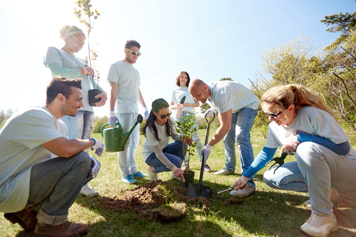 group of volunteers planting a tree - giving back
